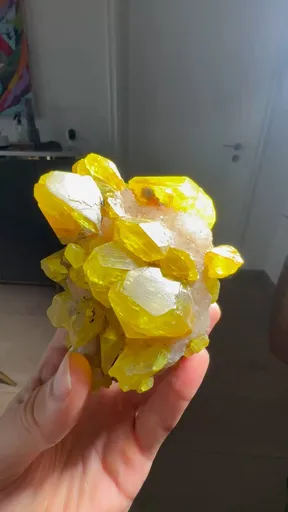 specimen video