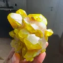 specimen video