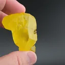 specimen video