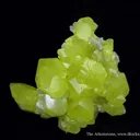 Sulfur on Aragonite - image 4