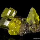 Sulfur on Aragonite with Petroleum inclusions - image 5