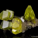 Sulfur on Aragonite with Petroleum inclusions - image 4