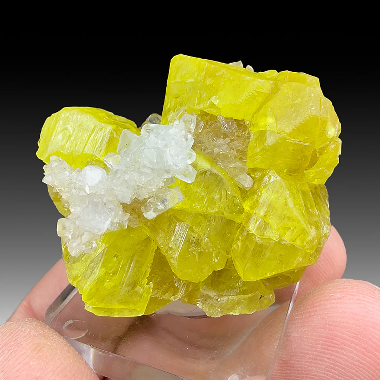 Sulfur with Celestine - image 1
