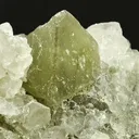 Sulphohalite & Borax - image 1