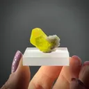Sulphur - image 2