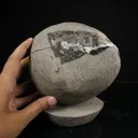 Super Rare Complete Okenite Geode Pair on Micro-Quartz Matrix – Cotton-Ball Okenite Puffballs , India - image 5
