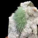 Super Rare Green Natrolite on MM Quartz – Museum-Grade Zeolite Specimen from India | Nashik Deccan Traps - image 6