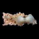 Superb Stilbite Bow-Tie on Heulandite Natural Mineral Specimen Natural Mineral Specimen - image 3