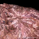 Sussexite (fibrous crystals) - image 3