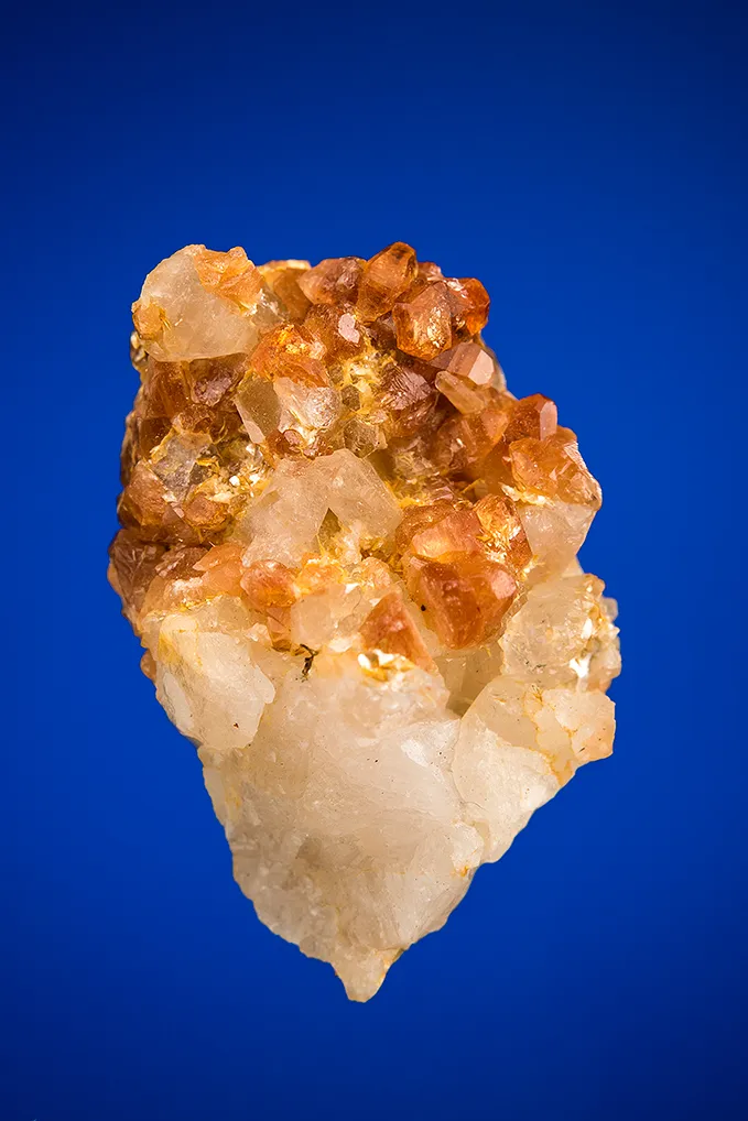 Svanbergite image