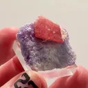 SWEET HOME PERFECTION — Rhodochrosite ON Fluorite - image 1