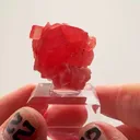 SWEET HOME Rhodochrosite WITH PROVENANCE - image 1