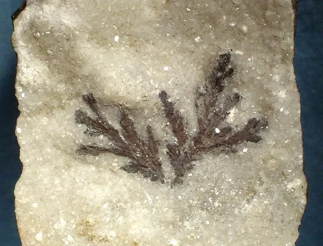 Sylvanite - image 2