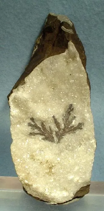 Sylvanite image