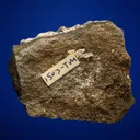 Sylvanite - image 2