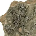 Sylvanite on Quartz - image 2