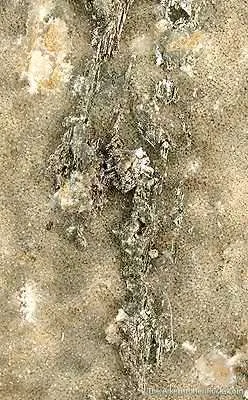 Sylvanite on Quartz - image 3