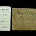 Sylvanite (Type Locality, Pre-1800) With Calcite - image 6