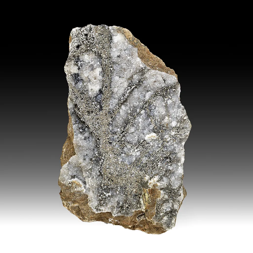 Sylvanite with Quartz, Bournonite image