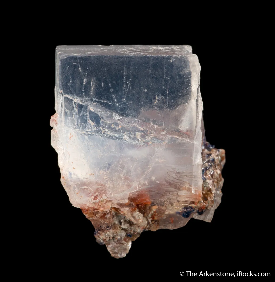 Sylvite with Halite - image 6