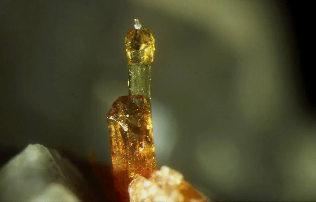 Synchysite (Ce) / Dissakisite (Ce), Trimouns, Luzenac, Ariège, France image