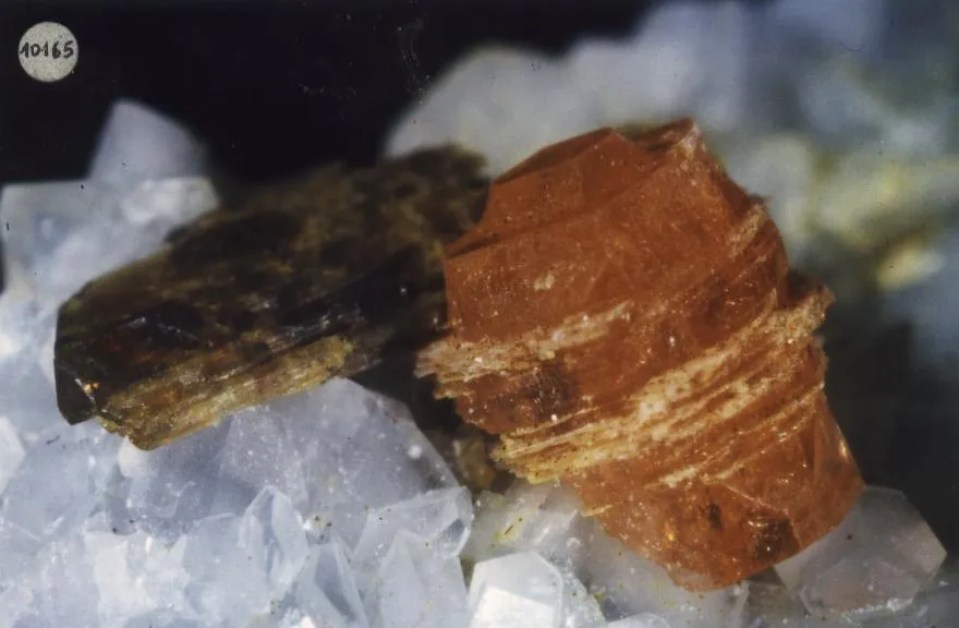 Synchysite(Ce) / Syntaxie Hydroxylbastnäsite + Allanite, Trimouns, Luzenac, Ariège, France image