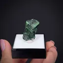 Szenicsite with Powellite (Cuprian) - image 1