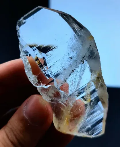 specimen video