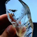 specimen video