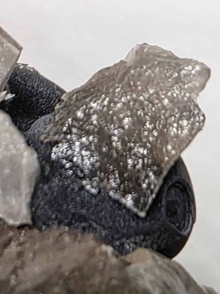 Tabular quartz with globular manganese - image 8