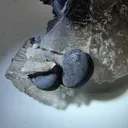 Tabular quartz with globular manganese - image 5