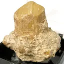 Talc Ps. After Chondrodite - image 1