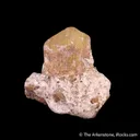 Talc ps. Chondrodite - image 1