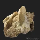 Talc ps. Forsterite - image 2