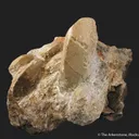 Talc ps. Forsterite - image 3