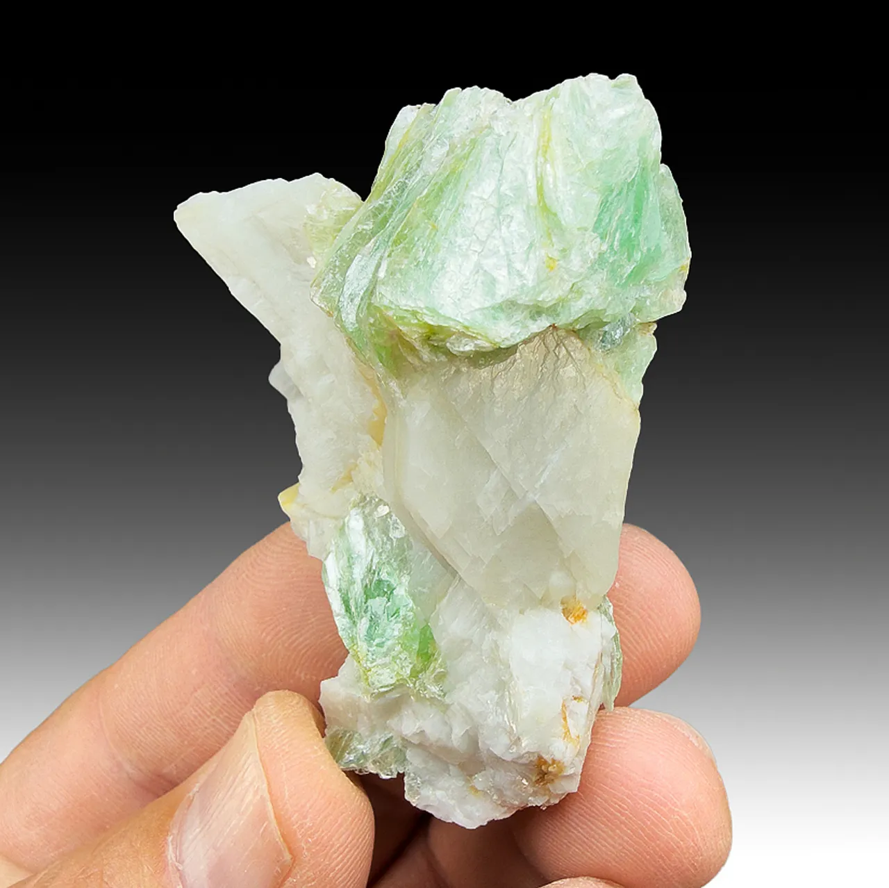 Talc with Dolomite - image 1