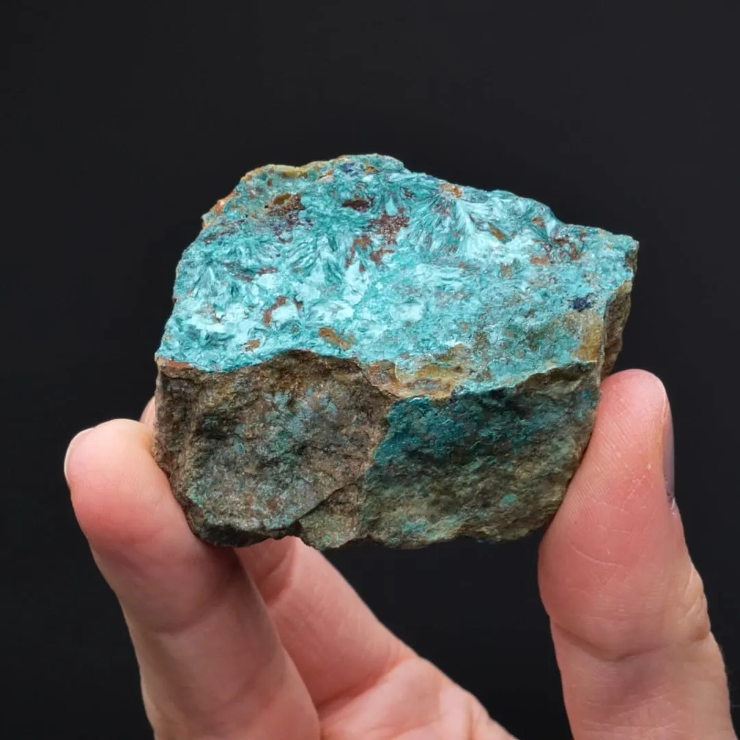 TANGDANITE - image 2