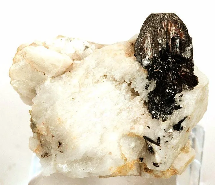 Tantalite, Albite image