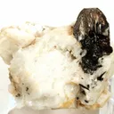 Tantalite, Albite - image 1