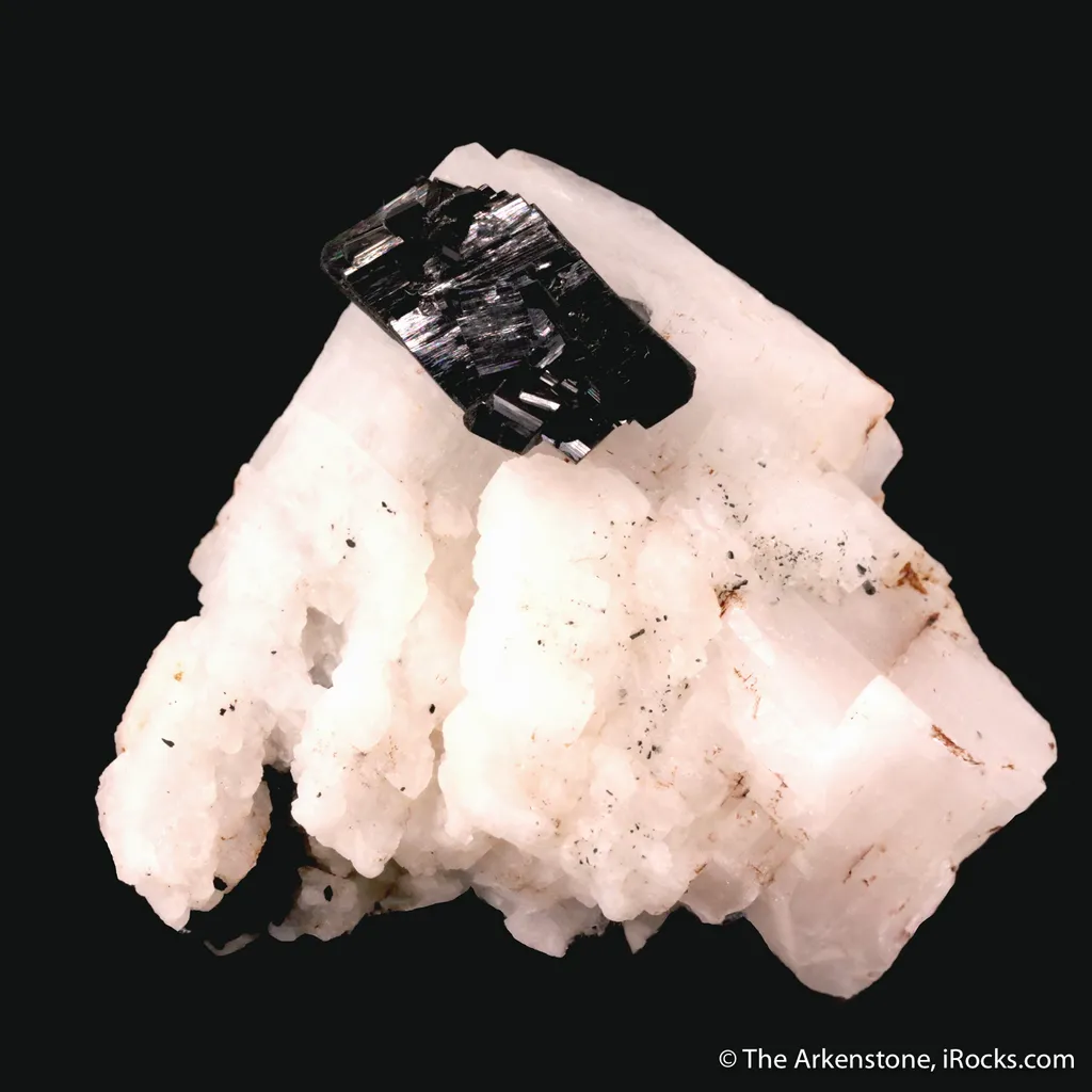 Tantalite-(Fe) on Albite image
