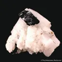 Tantalite-(Fe) on Albite - image 1