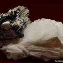 Tantalite-(Fe) with Cassiterite, Albite and Muscovite - image 2