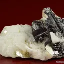 Tantalite-(Fe) with Cassiterite, Albite and Muscovite - image 1