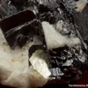 Tantalite-(Fe) with Cassiterite, Albite and Muscovite - image 3