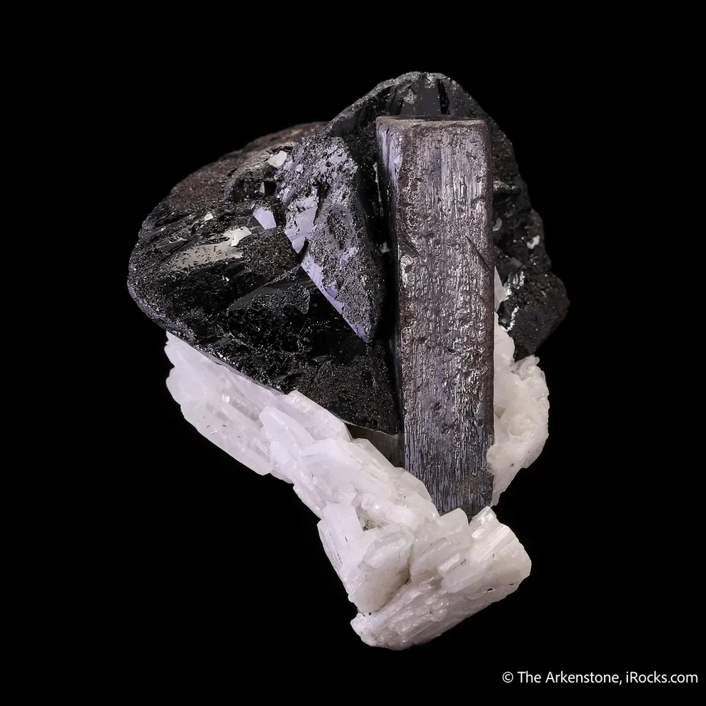 Tantalite-(Fe) with Cassiterite on Albite image