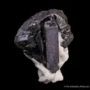 Tantalite-(Fe) with Cassiterite on Albite - image 6