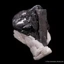 Tantalite-(Fe) with Cassiterite on Albite - image 4