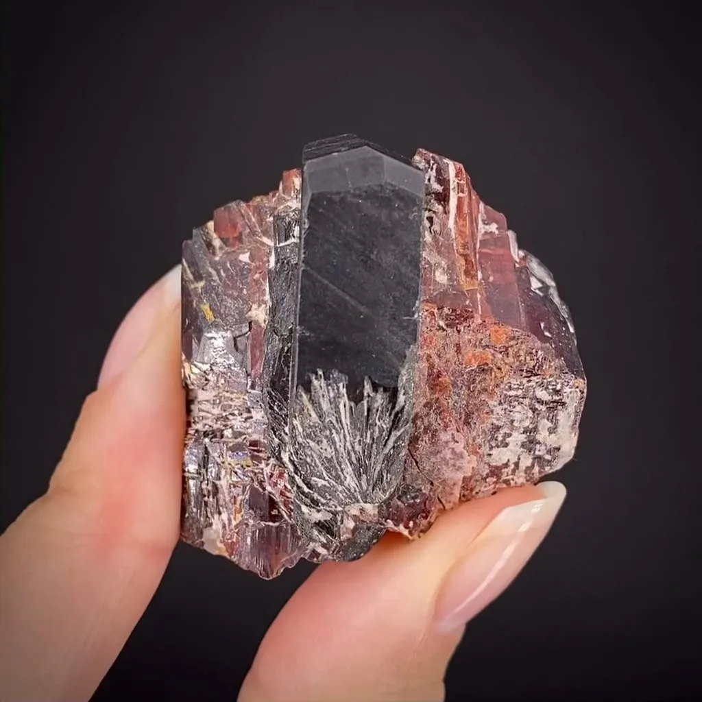 Tantalite-(Fe) with Tantalite-(Mn) - illustrated image