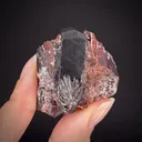 Tantalite-(Fe) with Tantalite-(Mn) - illustrated - image 1