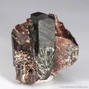 Tantalite-(Fe) with Tantalite-(Mn) - illustrated - image 3